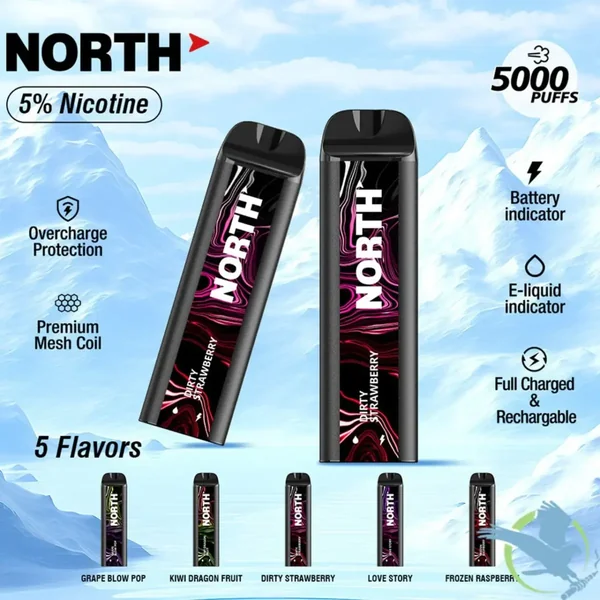 North 5000 Disposable New August 2025 - Vaperushusa Online Vape Store