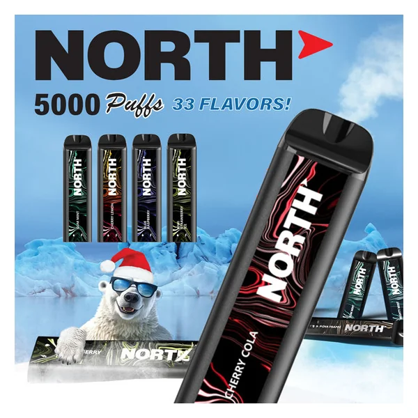 North Disposable Vape Raspberry Lemon 5000 Puffs