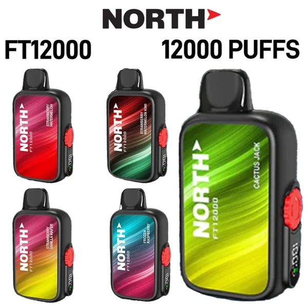 North FT12000 Disposable Vape 5% - Image 19