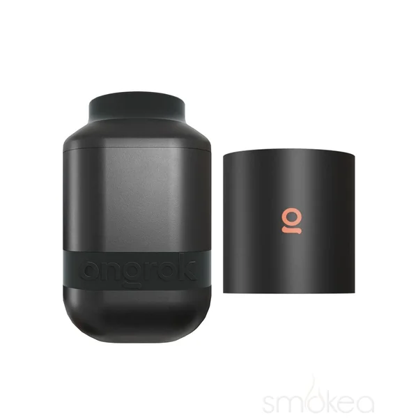 ONGROK Personal Air Filter w/ Replaceable Cartridges