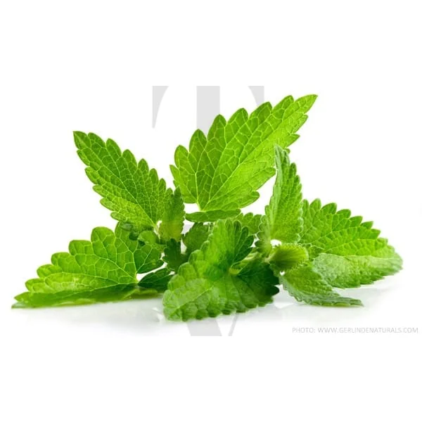 PEPPERMINT
