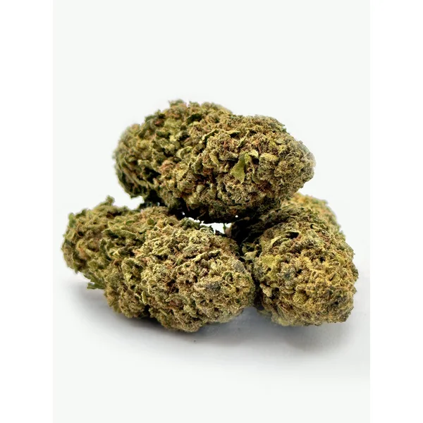 PM Bundle - Image 2