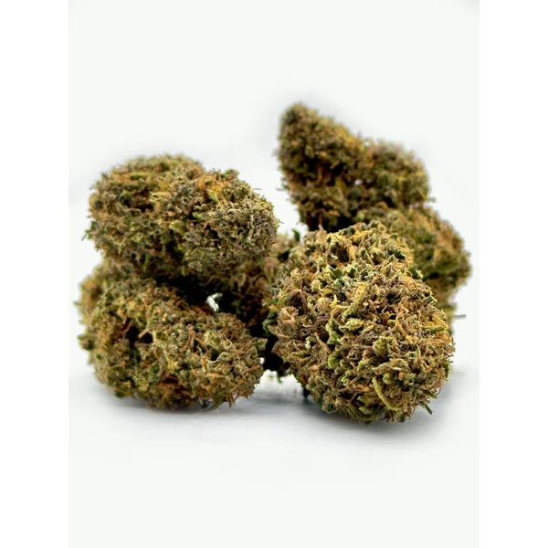 PM Bundle - Image 3