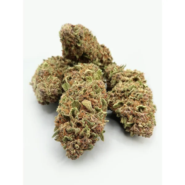 PM Bundle - Image 4