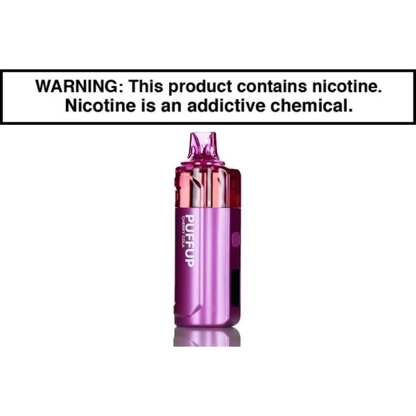 PUFFUP 25K DISPOSABLE VAPE - 25,000 PUFFS