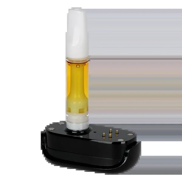 Pulsar DL 6.0 - Bottom Magnetic Connector - Image 2
