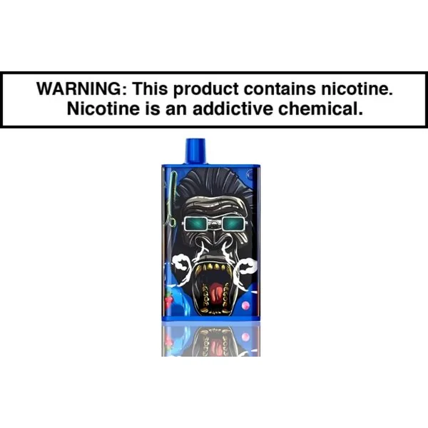 PUNKAPES 6K DISPOSABLE VAPE - 6000 PUFFS