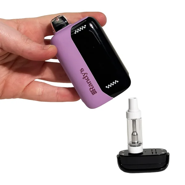 Randy's Inspo MAX Vaporizer - Image 4