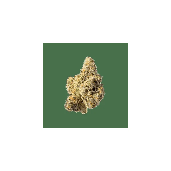 Runtz - Image 27