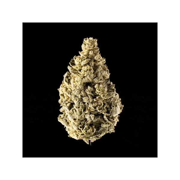 Runtz - Image 6