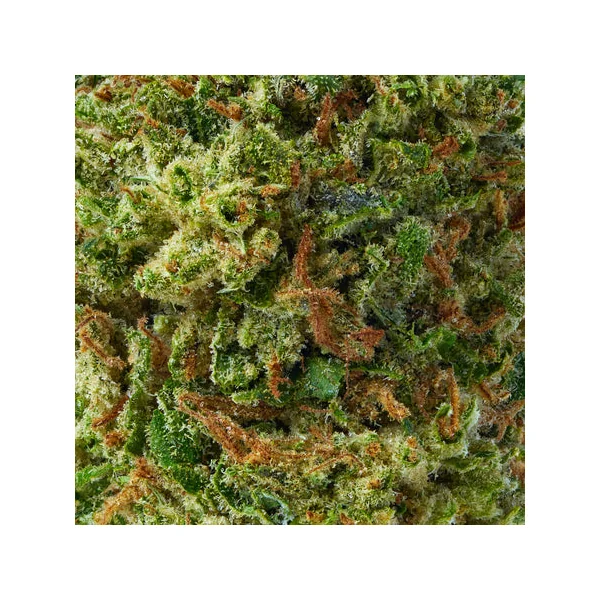 Runtz - Image 7