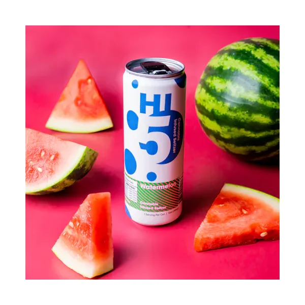 Seltzer 4 Pack – Watermelon