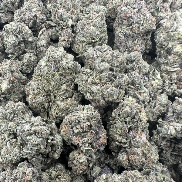 THC-A Flower Black Widow Hybrid (Light Dep)