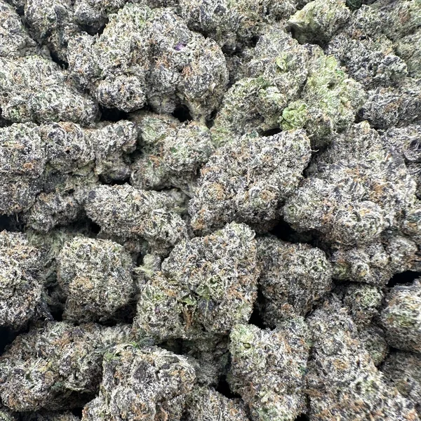 THC-A Flower Lemon Cherry Gelato Hybrid (Indoor)