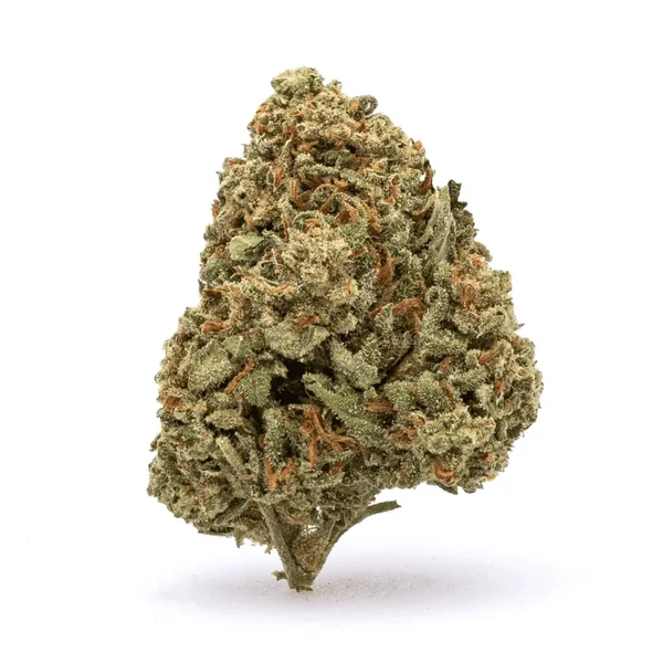 THCa Flower Watermelon Kush