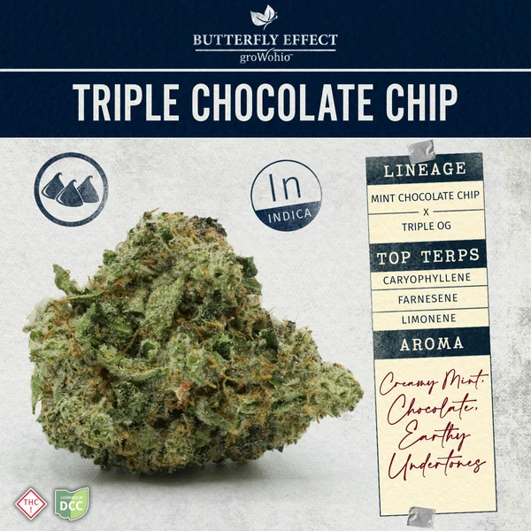 Triple Chocolate Chip | 28.3g