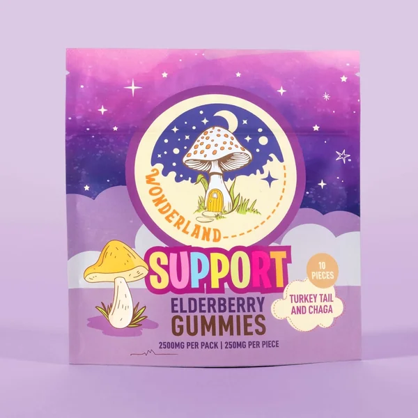 Turkey Tail & Chaga Mushroom Gummies for Support - Image 4