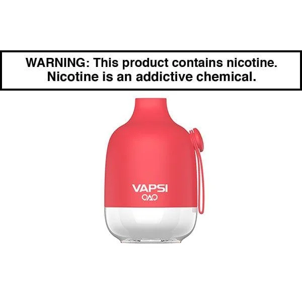 VAPSI OAO DISPOSABLE VAPE - 6000 PUFFS - Image 20
