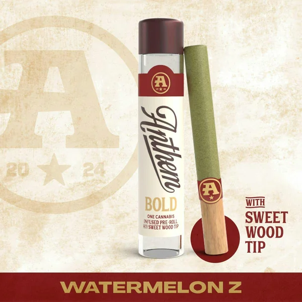 Watermelon Z Infused Pre-Roll | 1g