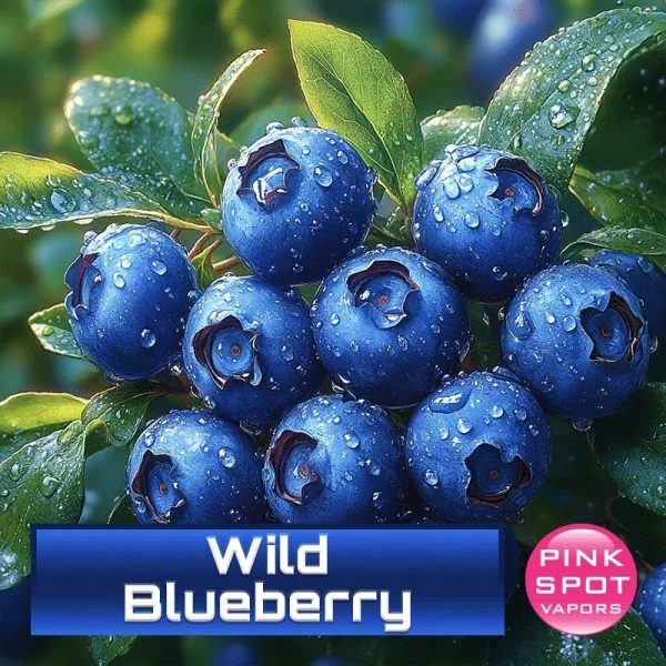 Wild Blueberry