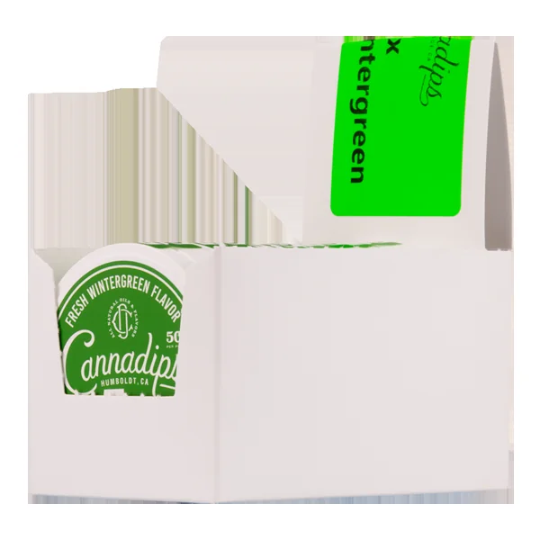 Wintergreen Cannadips 5X CBD Pouches - Image 2