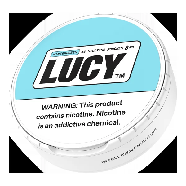 Wintergreen LUCY Pouches - Image 2